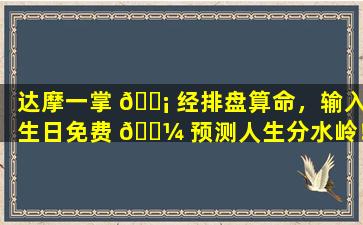 达摩一掌 🐡 经排盘算命，输入生日免费 🌼 预测人生分水岭！